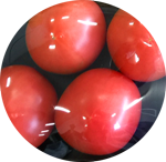 tomato150